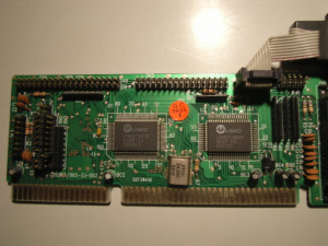 RIMG3039b.JPG