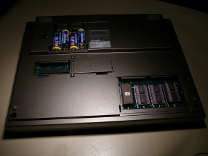 P1020145b.JPG