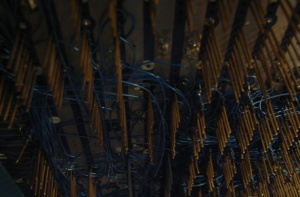 RIMG2951b.JPG